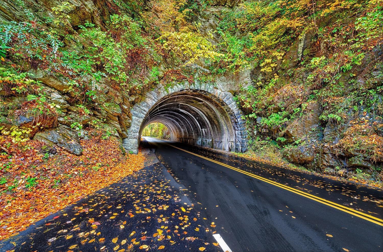 Her Majesty'S Way, Awesome Mtn Views, 1089 Free Tickets Each Paid Day, Dollywood And More Gatlinburg Dış mekan fotoğraf