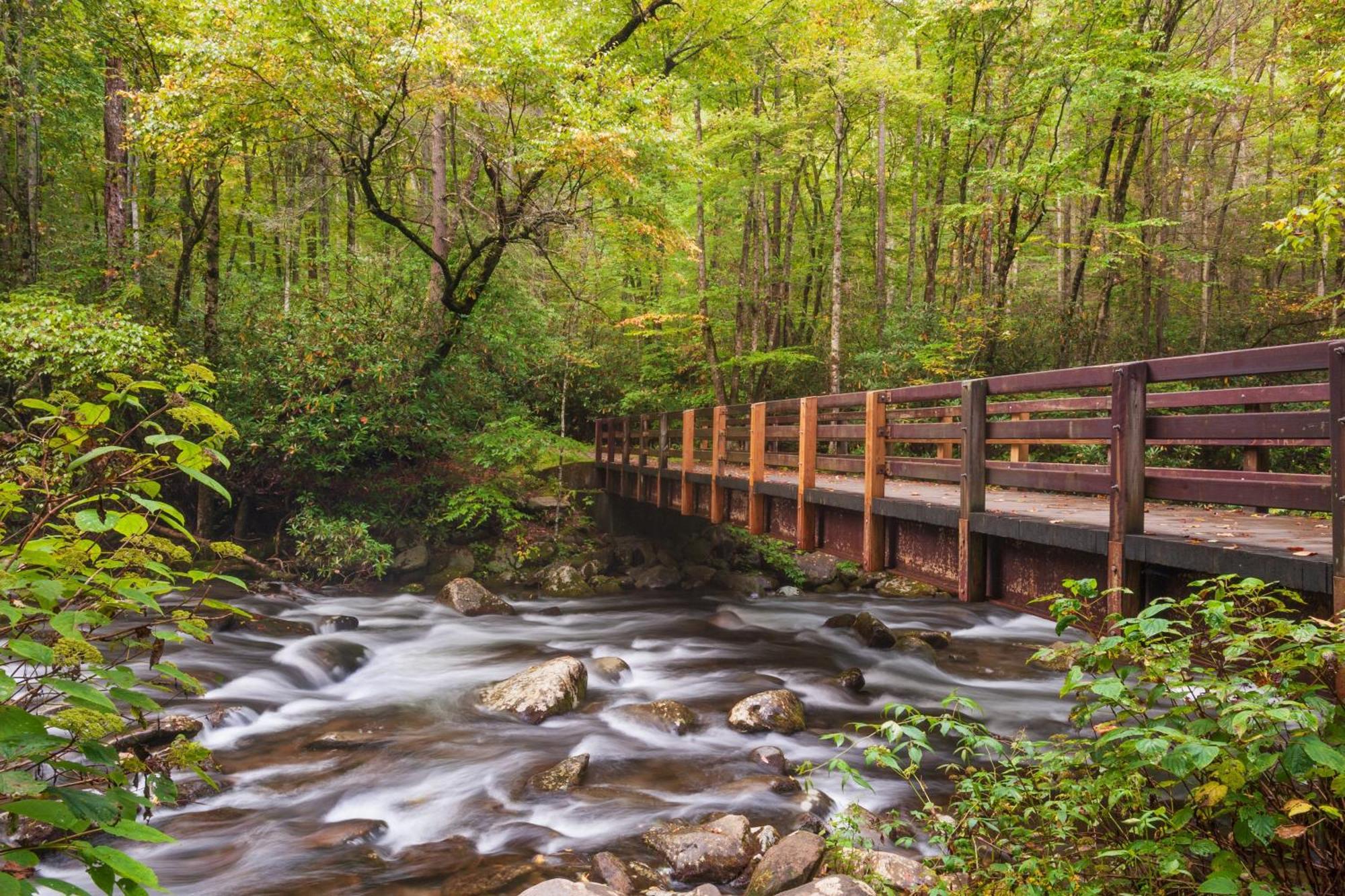 Her Majesty'S Way, Awesome Mtn Views, 1089 Free Tickets Each Paid Day, Dollywood And More Gatlinburg Dış mekan fotoğraf